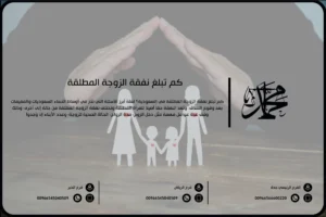 كم تبلغ نفقة الزوجة المطلقة