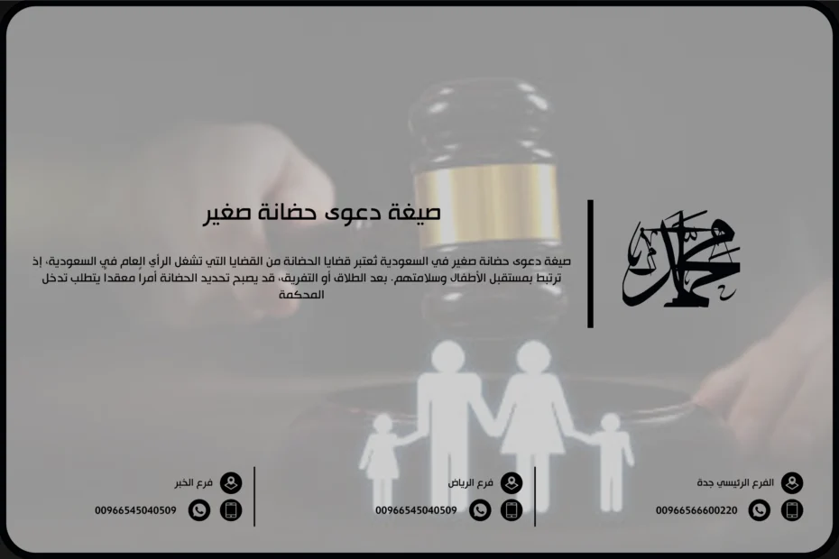 صيغة دعوى حضانة صغير